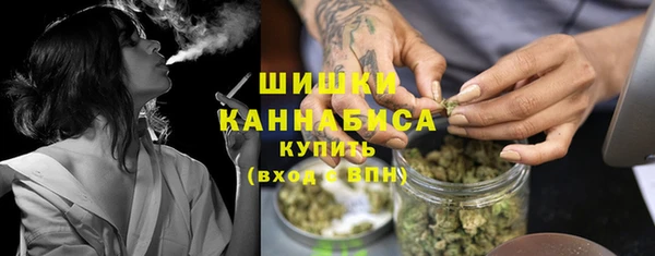 ГАЛЛЮЦИНОГЕННЫЕ ГРИБЫ Арсеньев