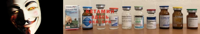 круглые Аркадак