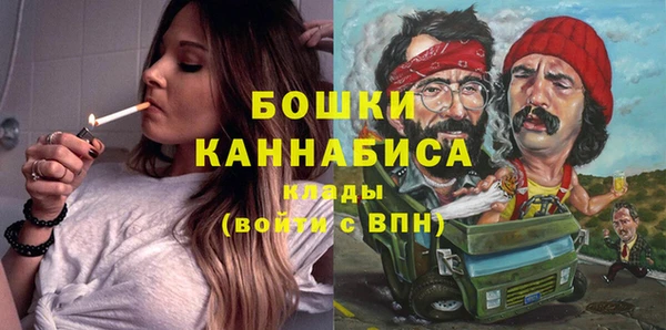 ГАЛЛЮЦИНОГЕННЫЕ ГРИБЫ Арсеньев