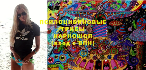 круглые Аркадак