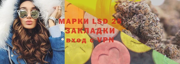 ГАЛЛЮЦИНОГЕННЫЕ ГРИБЫ Арсеньев