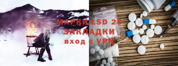 ГАЛЛЮЦИНОГЕННЫЕ ГРИБЫ Арсеньев