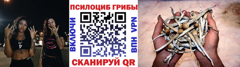 Псилоцибиновые грибы ЛСД  Волгоград 